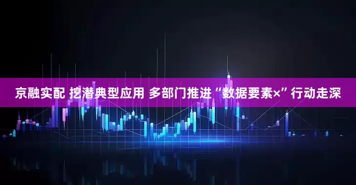 京融实配 挖潜典型应用 多部门推进“数据要素×”行动走深
