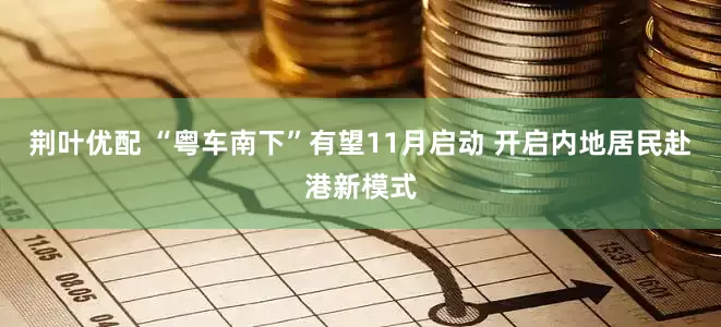 荆叶优配 “粤车南下”有望11月启动 开启内地居民赴港新模式
