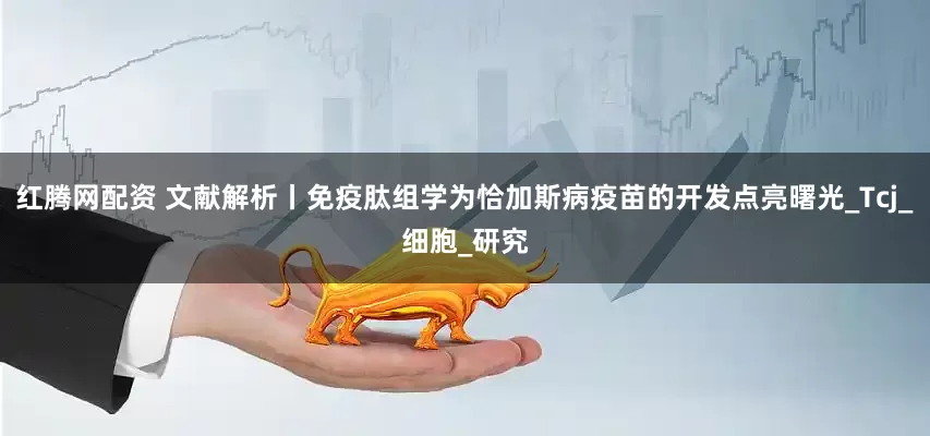 红腾网配资 文献解析丨免疫肽组学为恰加斯病疫苗的开发点亮曙光_Tcj_细胞_研究