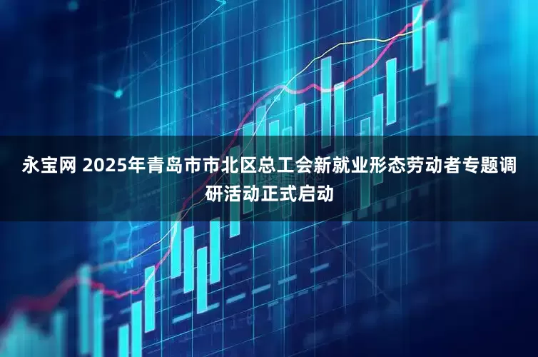 永宝网 2025年青岛市市北区总工会新就业形态劳动者专题调研活动正式启动