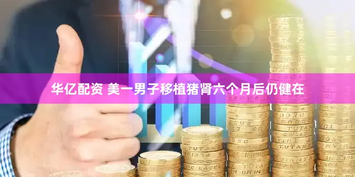 华亿配资 美一男子移植猪肾六个月后仍健在