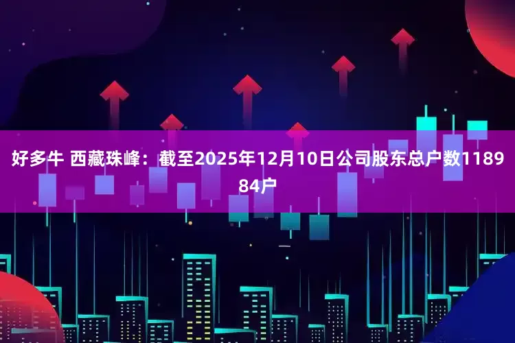 好多牛 西藏珠峰：截至2025年12月10日公司股东总户数118984户
