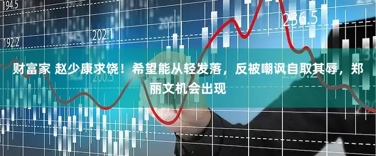 财富家 赵少康求饶！希望能从轻发落，反被嘲讽自取其辱，郑丽文机会出现