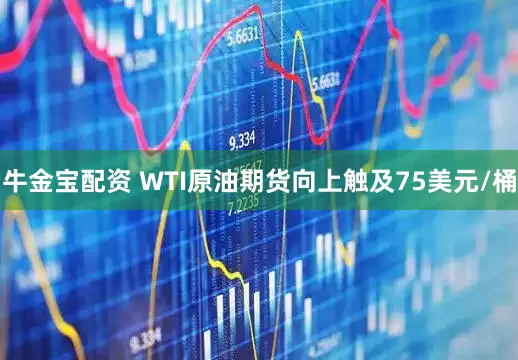 牛金宝配资 WTI原油期货向上触及75美元/桶