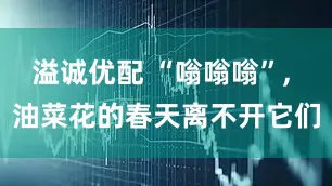 溢诚优配 “嗡嗡嗡”, 油菜花的春天离不开它们